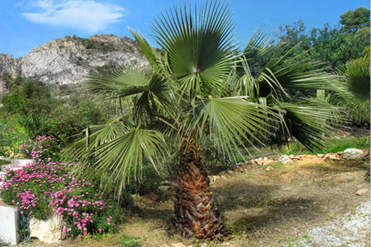 Cortijo La Venta Landhuis Nerja
